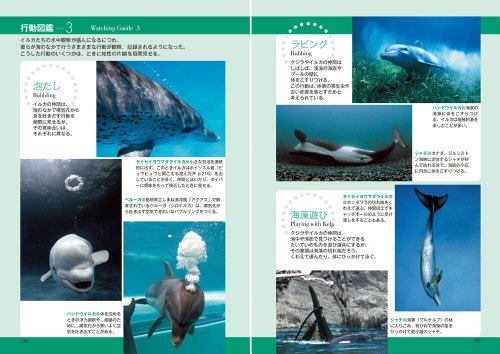 ベーリンジアの記憶 Amazon.com: 水口 博也: books, biography, latest update