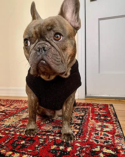 Gooby - Stretch-Fleece-Weste, Pullover, Fleece-Weste, Jacke, Pullover für Hunde, Schwarz, Größe XL