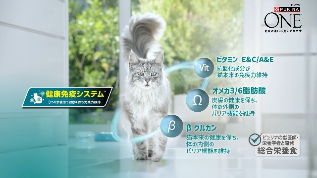Amazon | ピュリナ ワン 健康マルチケア 15歳以上 チキン 2kg