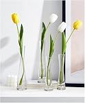 20CM Small Flower Vase Tall Thin Narrow Necked Glass Vases Clear Mini Mouth Single Stem Vases for Decorative Home Decor Living Room Office and Centerpieces
