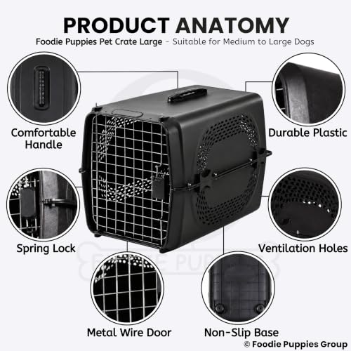 Image of Foodie Puppies Imported Plastic Pet Travel Carrier Cage (66 x 47 x 53 cm, Large) for Medium to Large Dogs & Adult Cats | Portable Transporter Box with Metal Door & Spring Lock