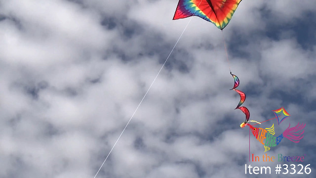 Amazon.com: In the Breeze 3326 — Tie Dye Delta Kite with Spinning