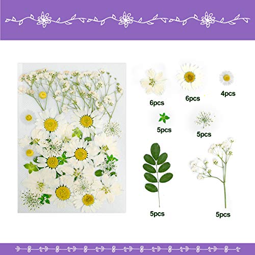 Yrym Ht Dried Pressed Flowers, 75 Pcs Purple Resin Flowers For Resin Mold, Real Natural Pressed Flower Leaves For Scrapbooking Diy Art Crafts, Candle Making, Jewelry Making (Purple) #TOP2