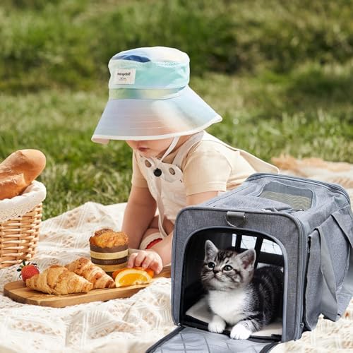 Bolsa Transporte Pet para Avião Cabine Viagem Ventilação Cães e Gatos Reforçada até 9kg Tela Arejada