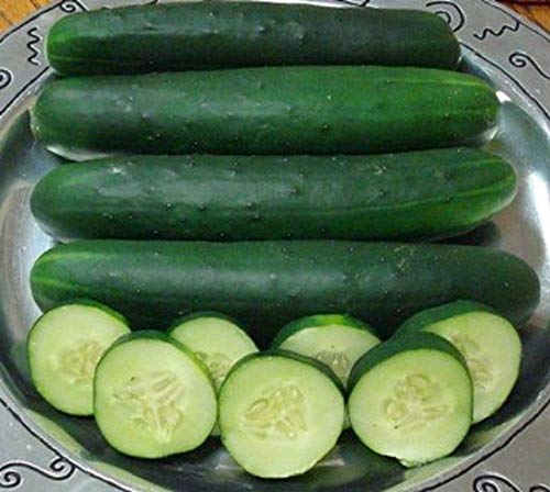 Mangostan Semillas Marca 