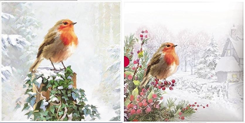 Paperlink Weihnachtskarten Mit Rotkehlchen & Beeren – 6 Stück, Folienveredelt, Umweltfreundlich & Für Wohltätige Zwecke