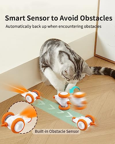 Giocattolo Interattivo del Gatto,Giocattolo