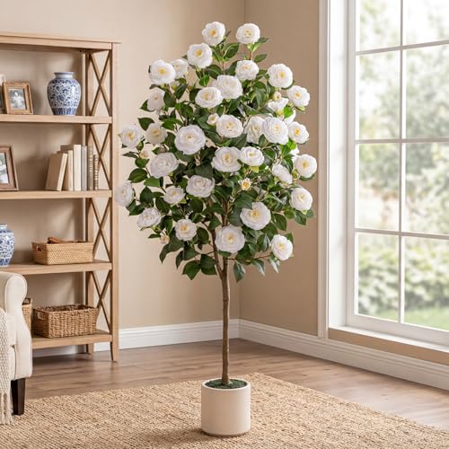 VIVATREES 5ft Artificial Camellia Tree 60 Tall Faux Camellia Plant with White Flowers UV Resistant Indoor Outdoor Fake Tree with White Planter Pot Included for Living Room Patio Decor