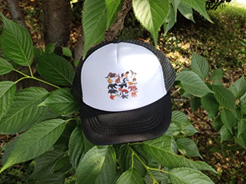 Wisedeal Boys' Forest Animals Trucker Kid Hat Adjustable Snapback Mesh Baseball Cap For Boys Girls Youth Black #TOP6