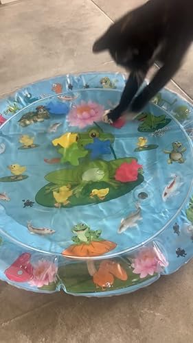 Katzen Wasserspielmatte - Sensorische Kühlmatte 66x50cm