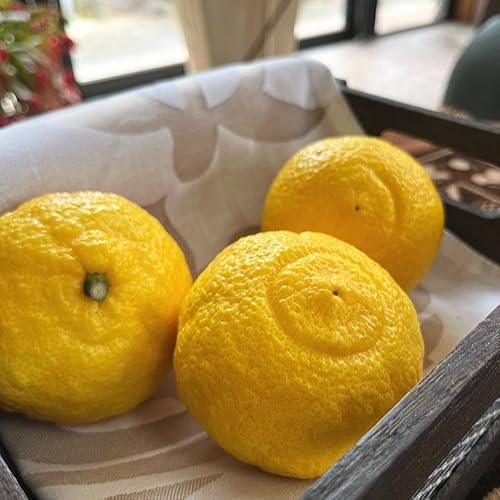 [先行予約]特選 完熟 はるかみかん 約3kg[MS54]