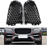 Zoom IMG-2 griglia anteriore per radiatore jaguar Zoom IMG-2 griglia anteriore per radiatore jaguar