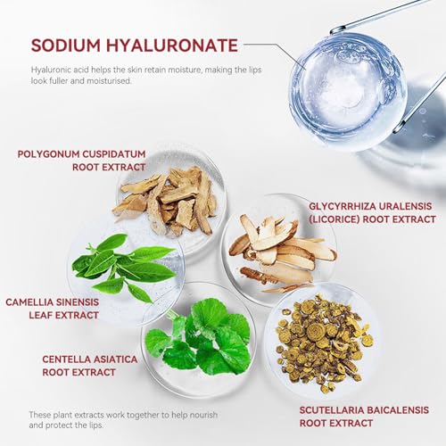 Lip Liner Stain Abziehbare Lippenstiftfarbe Tattoo Long Lasting Waterproof Nourishing Lip Liner Matte Finish Lip Stain Moisturizing Lipstick Set