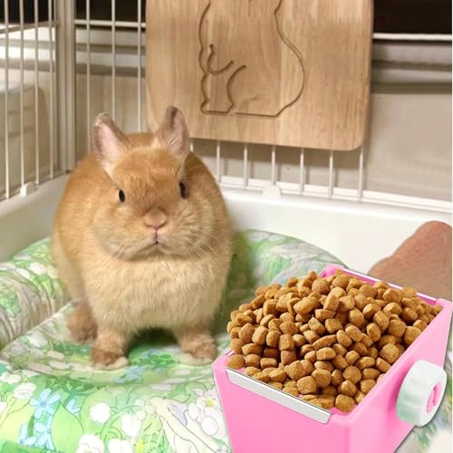 Mangeoire pour hamster nain avec distributeur d'eau et plat de repas