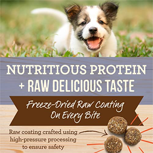 Merrick Healthy Grains Dry Dog Food, Freeze-Dried Raw-Coated Kibble Chicken High Protein Dog Food Puppy Food - 22 Lb. Bag #TOP2