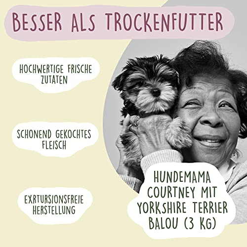 Fidelis - Gekochtes Frische-Menü Lachs für Hunde 10 x 500g - Premium Hunde Futter mit 70% Fischanteil und frischen Zutaten - Proteinhaltiges Hundefutter nass Nicht extrudiert - Zucker- & Getreidefrei
