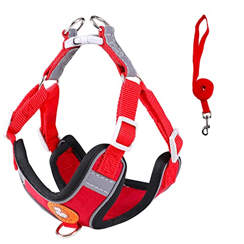 SonoReno Harnais pour Chien - Harnais de Gilet réglable, Gilet Souple réfléchissant, laisses - pour Chats et Chiots, XXS-Rouge