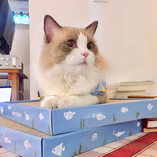 Noodoky 3Pcs Cat Scratching Pads, Double-Sided Corrugated Horizontal Cat Scratcher Cardboard, Scratch Board #TOP5