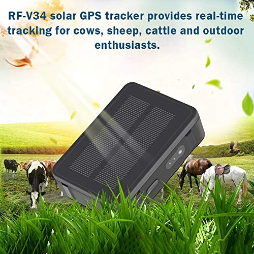 RF-V34 Impermeabile Solare GPS Tracker 9000 MAh Potenza Pecora Mucca Bovini GSM WiFi Tracking Voice Allarme Piattaforma Gratuita
