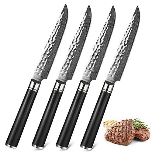 HEZHEN Steakmesser 4-teiliges Set, 5 Zoll Tafelmesser Damaszener Küchenmesser-Set, gehämmertes Schmieden 67-lagiger japanischer Damaststahl Professionelles Küchenmesser Ebenholzgriff - Classic Series Cover