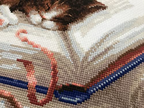 Image of RIOLIS - Kitten on the Book 1725, Cat Lovers Cat Cross Stitch Kits 11,81 inch x9,45, Cross Stitch Kits for Beginners & Advanced, Crossstitching Kits Adult, Counted Stitching Kits, Kitten Embroidery Kit