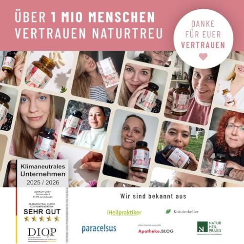 Haar Vitamine - 451mg Silizium hochdosiert & Biotin Zink Selen für Haare - Kieselsäure aus Bambus, Kupfer, Iod, Brennnessel und B-Vitamine - 120 Kapseln - Vegan aus Deutschland