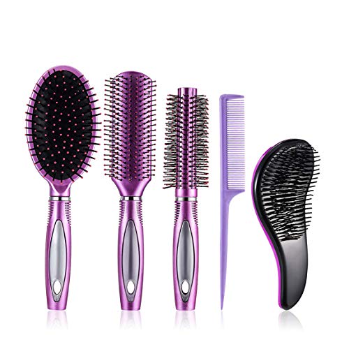 5 Pieces Hair Brush Set Curtly Thick Round Tail Wet Dry Hair Detangling Combfor for Women Men Kids All Hair Types
