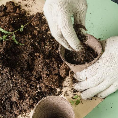 Image of MyOwnGarden Cocopeat Powder for Plants Kitchen, Balcony, Terrace Garden Coco Peat Powder for Gardening All Seeds and Plants (2 KG) Eco Friendly Natural,Ultra fine,Professional Grade