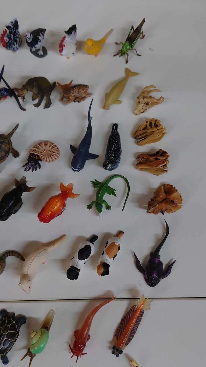 Amazon | チョコラザウルス等 生物フィギュア まとめ
