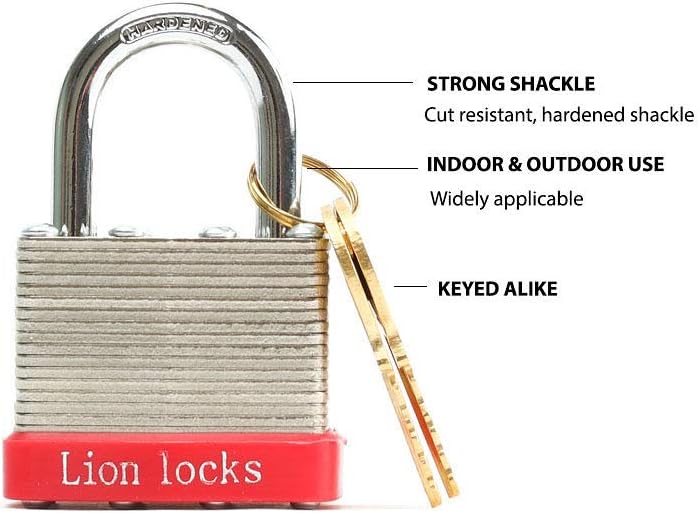 Lion Locks 12 Keyed-Alike Padlocks w/ 1.25” Shackle, 24 Keys, Hardened Steel Case, Brass Cylinder (12-Pack) - for Hasp Latch, Sheds, Fences, Storage Locker, School, Gym - - 