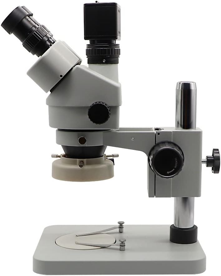 WF2025S ワンフェス2025夏 崩壊スターレイル 雲璃 ガレージキット