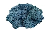 Reindeer Moss Preserved | Aqua Blue Moss - | for Fairy Gardens, Terrariums, or Any Craft or Floral Project | (4 Ounces) | Plus Free Nautical Ebook by Joseph Rains