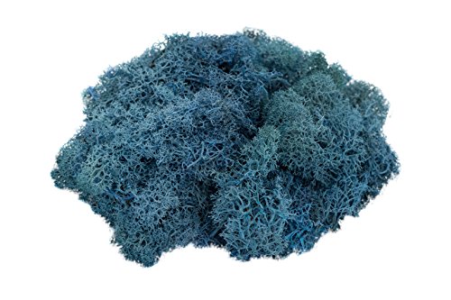 Reindeer Moss Preserved | Royal Blue Colored Moss | 2 Ounces of Aqua Blue Moss for Fairy Gardens, Terrariums and Any Craft or Floral Project | Plus Free Nautical eBook by Joseph Rains…
