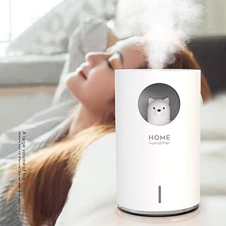 Warmwin Humidificateur Domestique,Grande capacité 700ML,diffuseur d'huile Essentielle d'aromathérapie USB,avec lumière LED Couleur,purificateur d'air,atomiseur-Bai Xiong