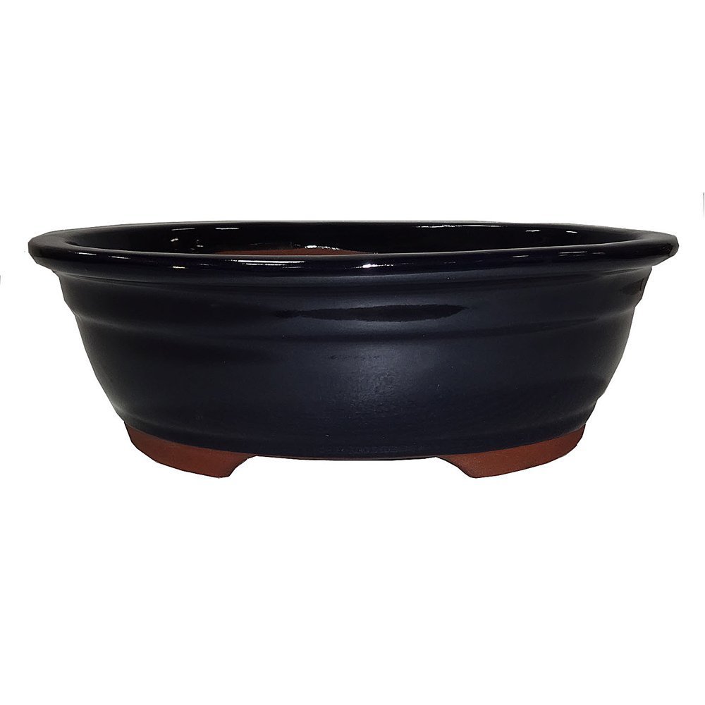 Brussel's Bonsai XL Ceramic Bonsai Plant Pot