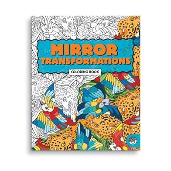 Paperback Mirror Transformations Book