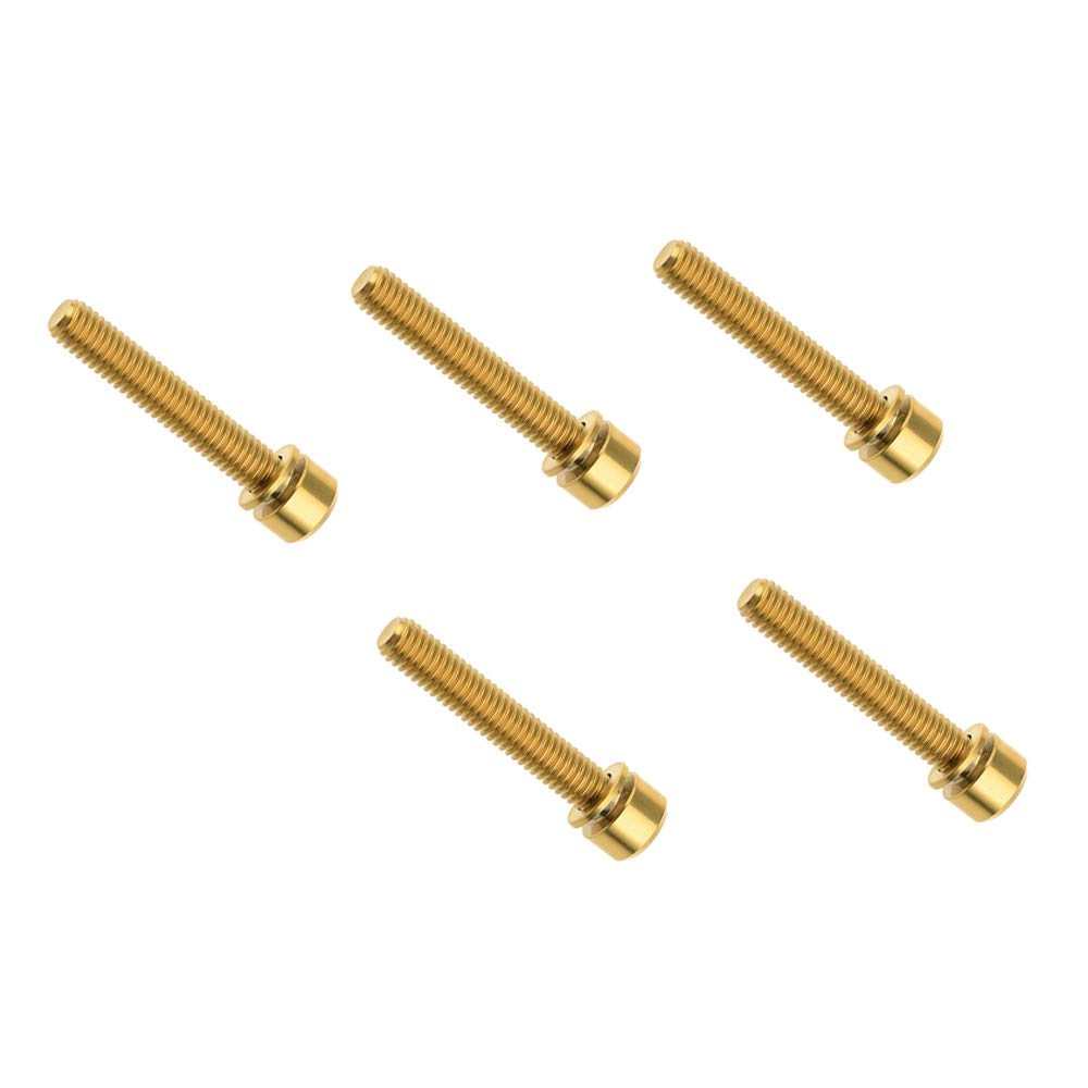 Titanium Bolts M6x16 18 20 25 35mm Square Head Allen Screws with Ti Washer for Bicycle Parts Pack of 5 (M6x35mm, Gold)