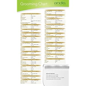 Andis – 21641, Ultra Edge Dog Clipper Blade – Carbon-Infused Steel With Exclusive Hardening Process, Long-Lasting Blades, 3/32-Inch Cut Length – For Dogs & Medium-Sized Animals, Size-T-84, Chrome