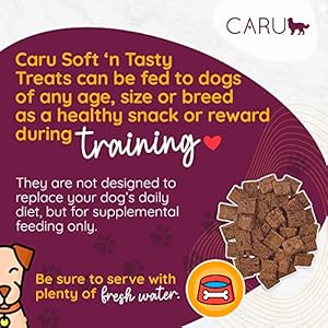 CARU-Soft-n-Tasty-Baked-Bites-Wild-Boar-Bites-Dog-Treats-Flavorful-Training-Treats-375-oz - Cucciolini Doodles   CARU-Soft-n-Tasty-Baked-Bites-Wild-Boar-Bites-Dog-Treats-Flavorful-Training-Treats-375-oz