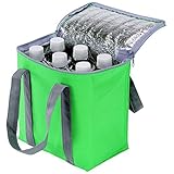 エピオス ポップカラー 保温 保冷 クーラーバッグ (500mlボトル×6本入る) グリーン