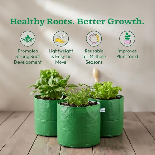Image of UGAOO Grow Bags 12x12 Inch, Set of 6, 250 GSM Heavy-Duty HDPE Plant Bags for Terrace Gardening, Home Garden, Vegetables & Plants, UV-Resistant Reusable Green Gardening Bags