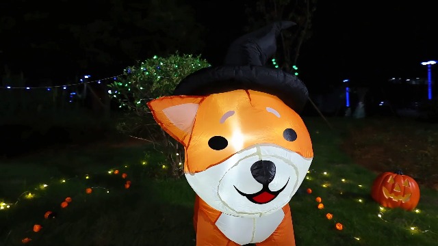 AJY 4 Feet Halloween Inflatable Dog Skeleton Spooky Town Skeleton Yard Art Décor Inflatable LED Lights Halloween Display Blow up Lighted Yard Decor Lawn Home Garden Party Favor Decoration