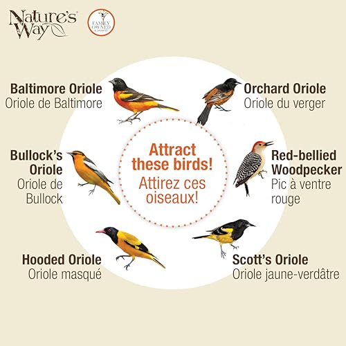 Nature's Way OFM1 Wire Oriole Feeder - image 5