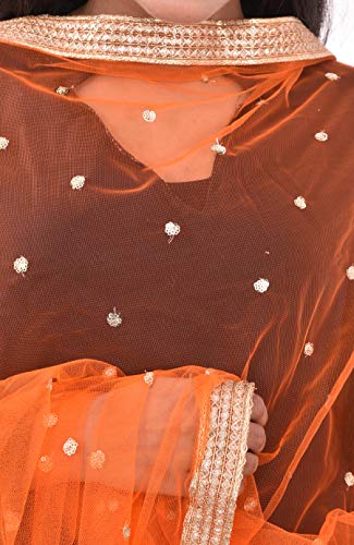 Image of YOUTHQUAKE Women's Net Embroidered Full Size Dupatta With 4 Side Golden Lace