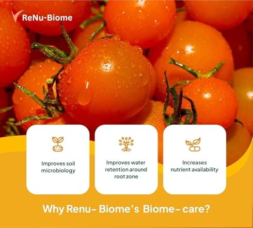 Fertilizante Líquido y Acondicionador de Suelo Biome Care para Césped y Jardín miniatura 3