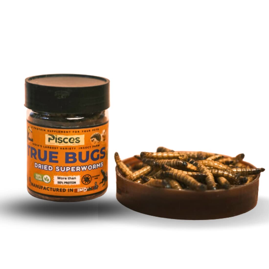 True Bugs Dry Superworms for Turtles, Hedgehogs, Hamsters, Mammals, Birds (100ml Pack) | Dried Superworms for Turtle Food, Hamster Food, Hedgehog Food, Marmoset, Monkey, Carnivore Bird Food (B0C33DJWBR) Amazon Price History, Amazon Price Tracker