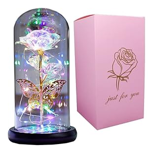 AUSAYE for Mom,Women’s Gift Gold Butterfly Birthday Gifts Colorful Preserved Rose Gift Flower, Last Forever Rose in Glass Dome, Unique Gift for Her, Mom,Grandma
