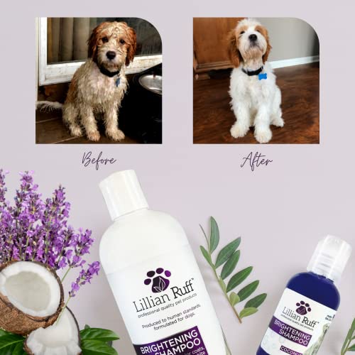 Lillian Ruff Ultra-Brightening Professional Whitening Shampoo For Dogs With Aloe & Coconut Oil For Dry Skin & Itch Relief - Ph-Balanced Dog Whitening Shampoo Remove Stains, Yellowing, & Odor (16Oz) #TOP3