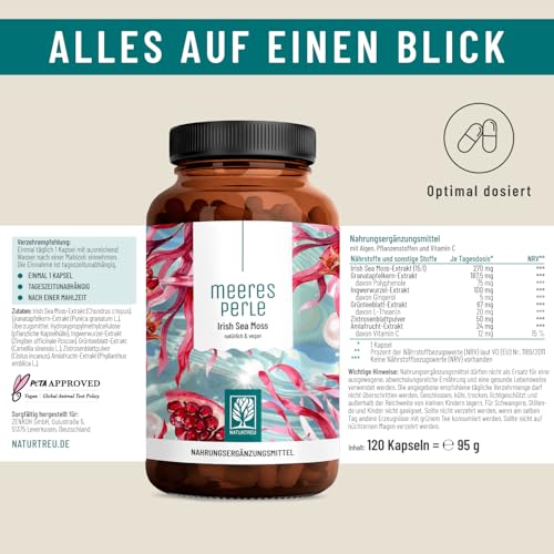 Sea Moss aus 4000mg - nur eine 1 Kapsel Täglich - Seamoss 6-fach Komplex - Original Irish Moos - 120 Irish Sea Moss Kapseln - Frei von Magnesiumstearat und Vegan - Laborgeprüft in Deutschland