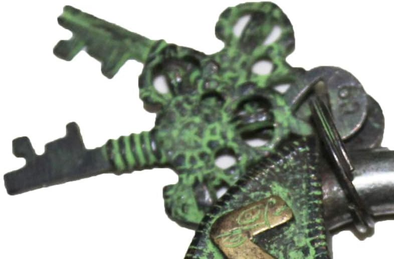 Camel Engraved Brass Round Shaped Door Padlock Security Locks with 2 Keys Fully Functional Door Locks